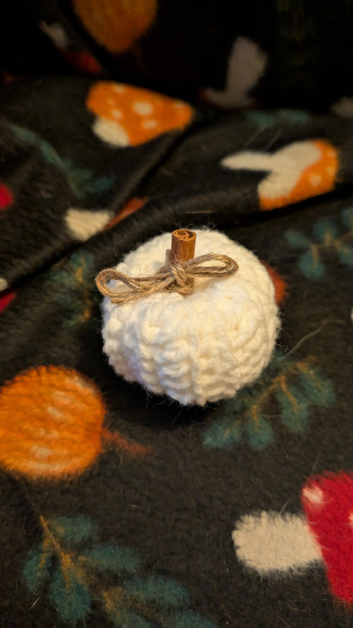 Handmade Crochet Pumpkin Cozy Fall Decor