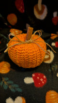 Handmade Crochet Pumpkin Cozy Fall Decor